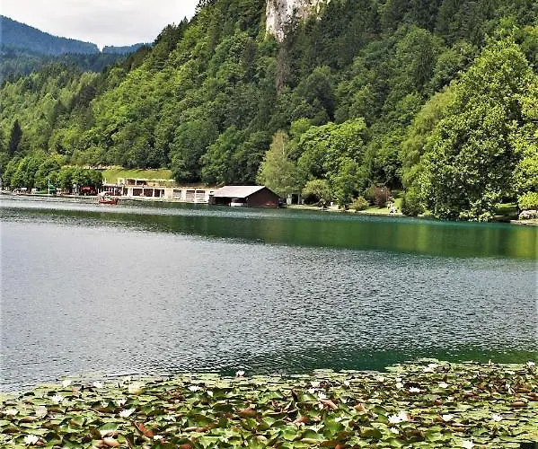 Zaka Bed & Breakfast